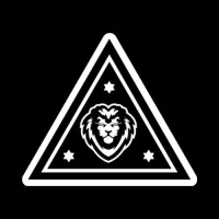 Balance of a Lion logo - Similar company to I Am Hseq