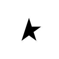 Golden Goose logo - Similar company to Brave Kid