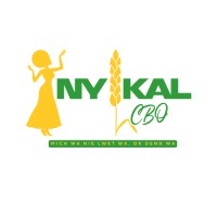NYIKAL logo - Similar company to Grise Systems Solutions