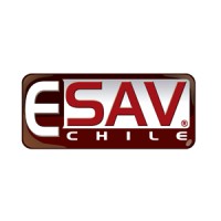 ESAV Chile logo - Similar company to Domeyko Mining