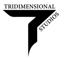 Tridimensional Studios logo - Similar company to Wirecorp Studios