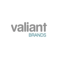 Valiant Enterprises logo - Similar company to Buzz-Er