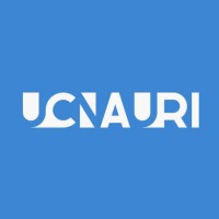 Ucnauri logo - Similar company to ი-სპეის • E-Space