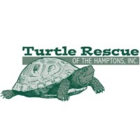 Turtle Rescue of the Hamptons logo - Similar company to Gts Services