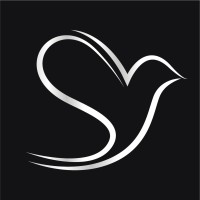 Silver Visuals logo - Similar company to Moonlight Fx