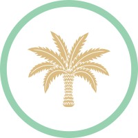 Paradise Analytics logo - Similar company to Summit Advisory Team