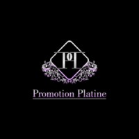 Promotion Platine logo - Similar company to Etchus