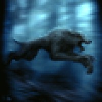 Wulven Game Studios