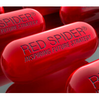 Red Spider logo - Similar company to Mc²