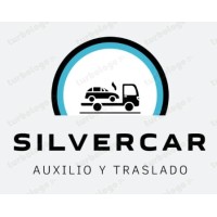 Silvercar-094399688 logo - Similar company to Instituto Iihd 🇧🇷🇵🇹