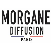 MORGANE DIFFUSION logo - Similar company to Chatou Informatique
