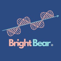 Bright Bear Digital logo - Similar company to Proteram