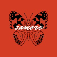 Zamore Studios logo - Similar company to Romy