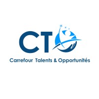 CTO-Consulting logo - Similar company to Sheq Warehouse (Pty) Ltd