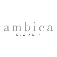 Ambica New York logo - Similar company to Plun