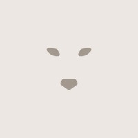 Wolf Capital logo - Similar company to Wolf Capital