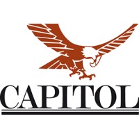 Capitol Srl logo - Similar company to Elevate B2B