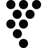 The Vine Church Limited