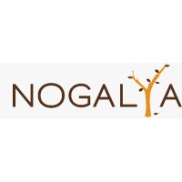 NOGALYA SA DE CV logo - Similar company to Architektory
