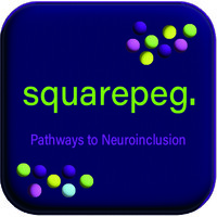 Squarepeg logo - Similar company to Squarepeg