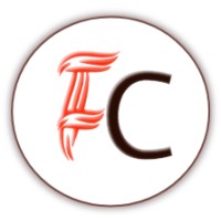 Flow Consultancy logo - Similar company to Lidere Com D