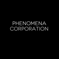 Phenomena Corporation logo - Similar company to Groundingwork Llc