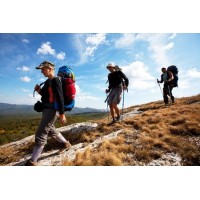 Optimal Edu Options logo - Similar company to Attach (Association For Training On Trauma And Attachment In Children)