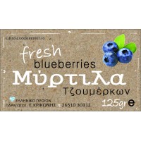 Freshberry logo - Similar company to Fruit Garden