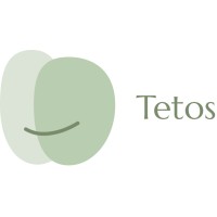 Tetos logo - Similar company to The Global Exec.