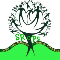 SRops Consulting Co., Ltd. logo - Similar company to Leanwares Corporation