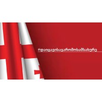 საჯარო სამსახური საქართველოსთვის logo - Similar company to Loialte Legal