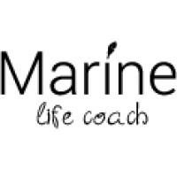 Marine Life Coach logo - Similar company to Verizon Tech It