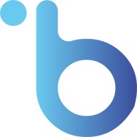 iBrands Digital logo - Similar company to Hamlytic Digital