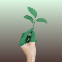 ESG Assurance & Service logo - Similar company to Esg Reporting Manager