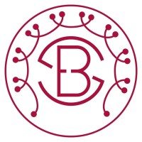 AUIB Business & Economics Society logo - Similar company to Auib Foundation