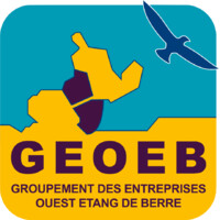 GEOEB logo - Similar company to Mva Conseil, Conseil En Stratégie Et Actions De Marketing Opérationnel