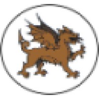 Bronze Dragon International
