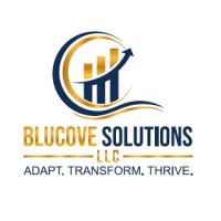 BluCove Solutions, LLC logo - Similar company to Sync Consulting