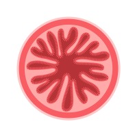 Poetic Bio logo - Similar company to Regime Lab