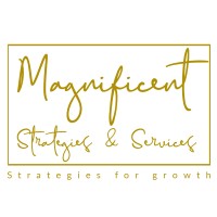 Magnificent Strategies & Services logo - Similar company to Rhamer Beheer Bv