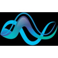 SKYNET TECHNOLOGIES logo - Similar company to Waslfoundation