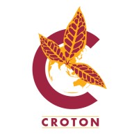 Croton Travel & Tours Co., Ltd logo - Similar company to Aviareps Myanmar
