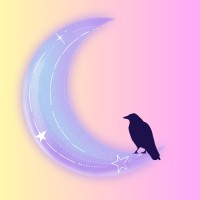 Midwest Crow Digital