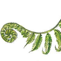 The Fernway logo - Similar company to Moozed
