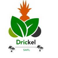 SAFL logo - Similar company to Natafin