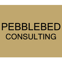 Pre-Revenue Start-up
