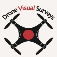 Drone Visual Surveys logo - Similar company to Cornerstone Building Surveyors