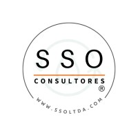 SSO CONSULTORES S.A. logo - Similar company to Processflow Solutions