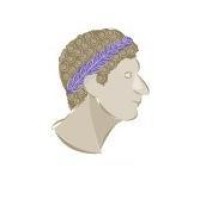 Ovidius Advies