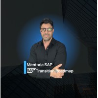 Mentoria SAP para Profissionais logo - Similar company to Via Mentoria E Consultoria